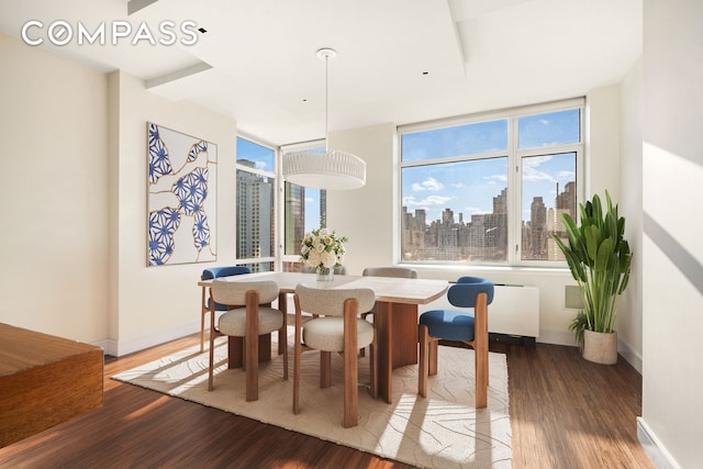 dining area with baseboards, a view of city, a healthy amount of sunlight, and wood finished floors