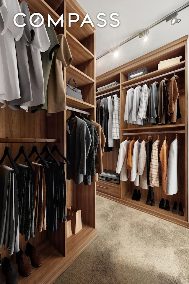 walk in closet with carpet