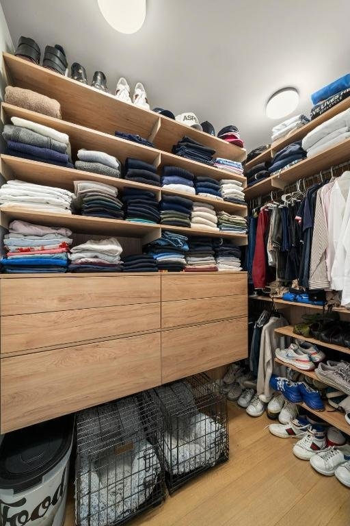 walk in closet with hardwood / wood-style floors