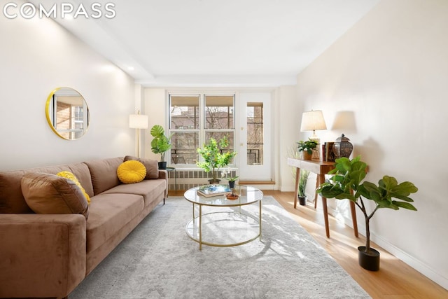 living room featuring radiator and light hardwood / wood-style floors