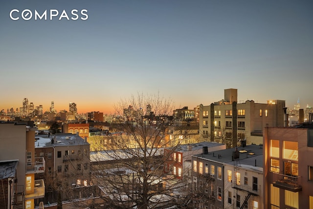 145 Conselyea St, New York City, NY 11211 - view of city