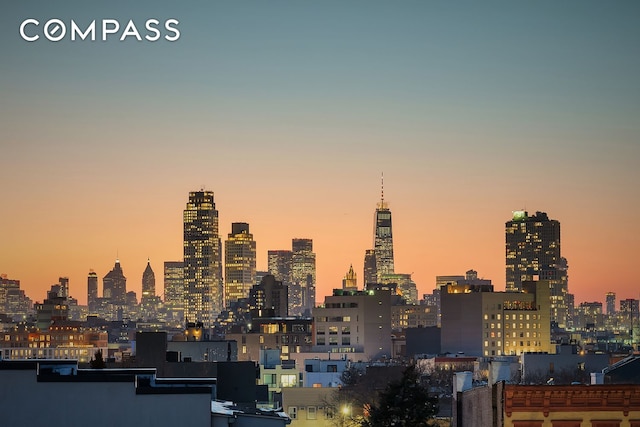 145 Conselyea St, New York City, NY 11211 - view of city