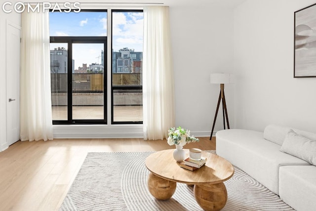 living room featuring light hardwood / wood-style floors