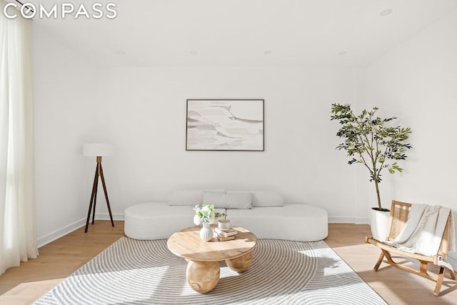 living room with light hardwood / wood-style flooring