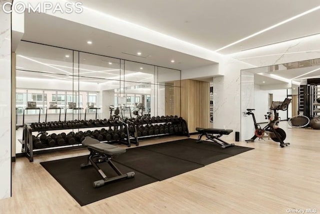 exercise room featuring hardwood / wood-style flooring