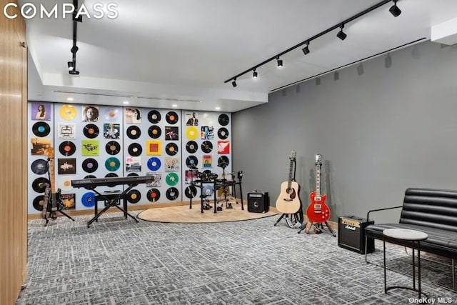 recreation room with track lighting and carpet flooring