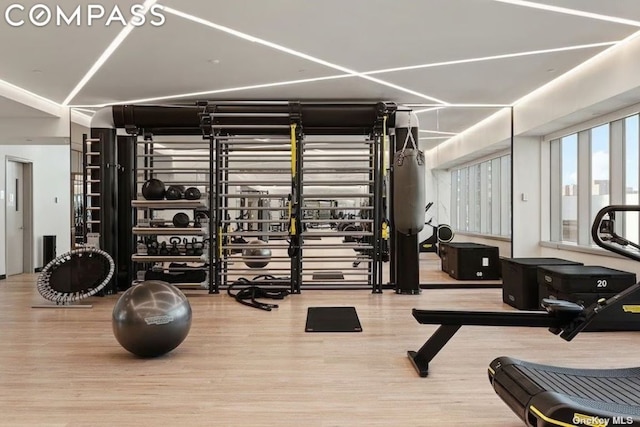 workout area featuring hardwood / wood-style floors