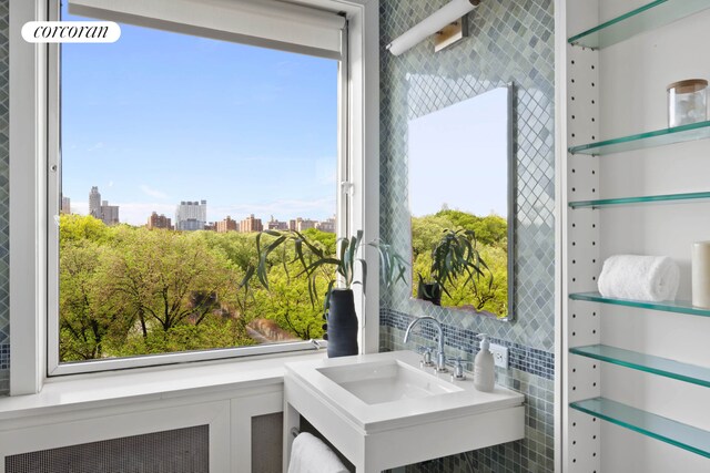 bathroom featuring sink