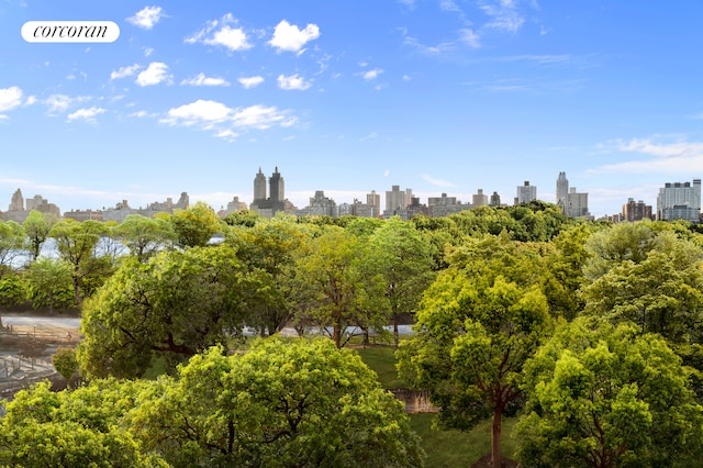 1158 5th Ave Unit 9/10A, New York City, NY 10029 - view of home's community with a skyline view