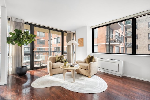 sitting room with expansive windows and dark wood-type flooring