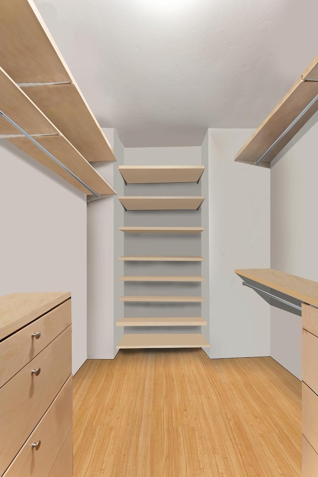 spacious closet featuring light wood finished floors