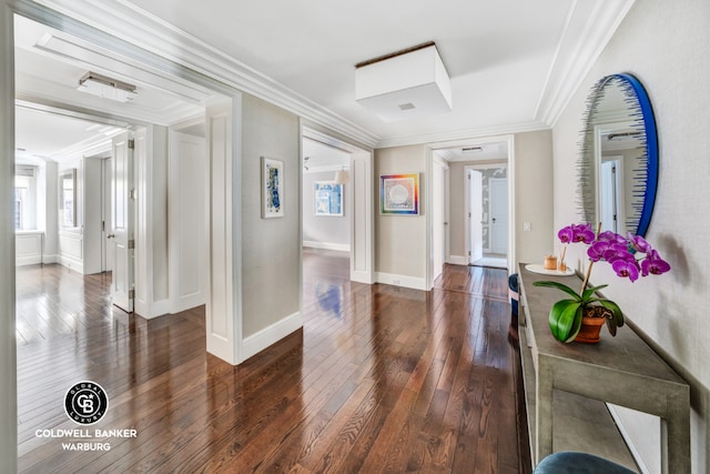 corridor featuring ornamental molding and dark hardwood / wood-style floors