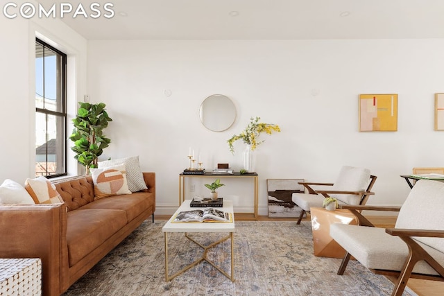 living room featuring hardwood / wood-style flooring