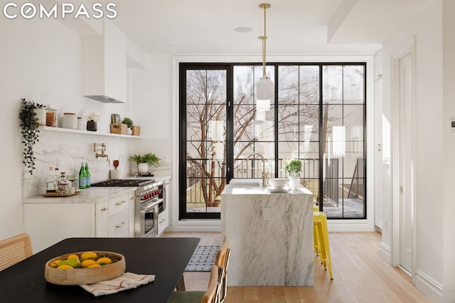 dining room with sink, expansive windows, and light wood-type flooring