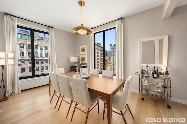 dining room featuring light hardwood / wood-style floors