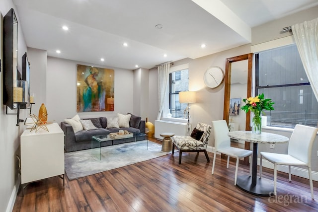 living room with dark wood-type flooring