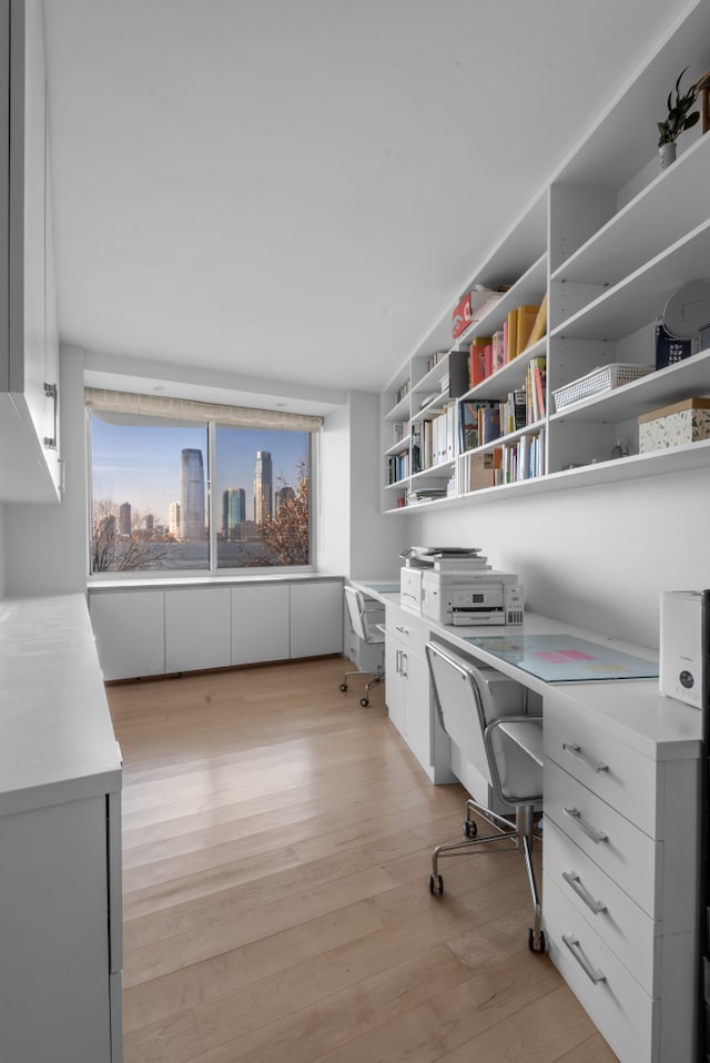 office area with light wood finished floors, a view of city, and built in desk