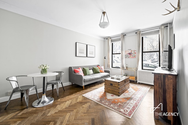 living room featuring radiator heating unit and baseboards