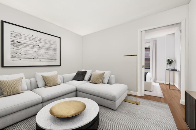 living room featuring hardwood / wood-style floors