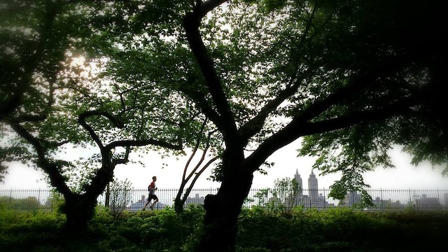 view of local wilderness