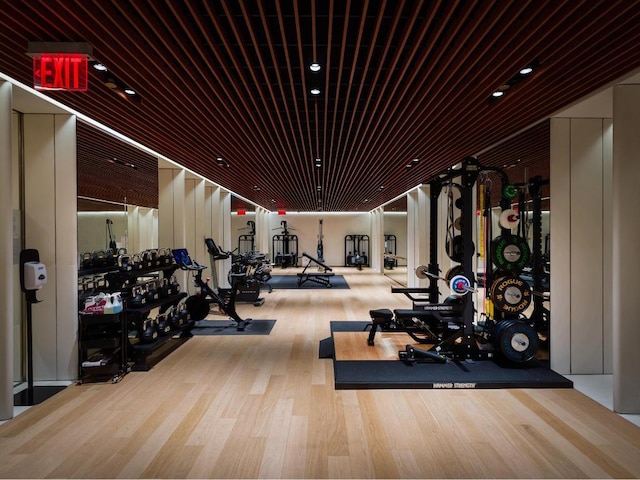 exercise room with light hardwood / wood-style floors