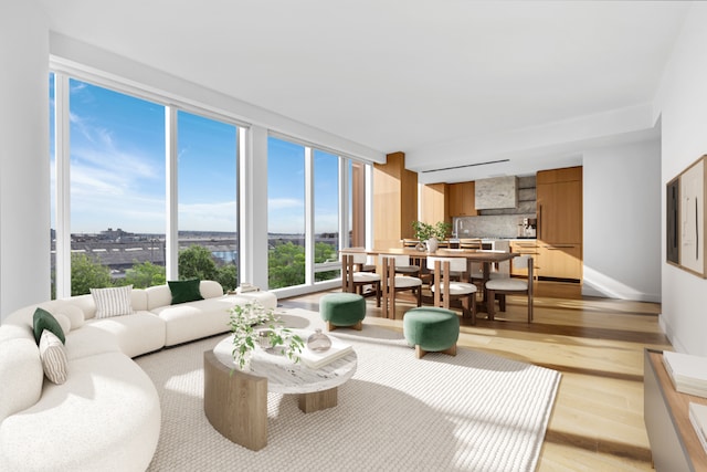 living room featuring light hardwood / wood-style floors