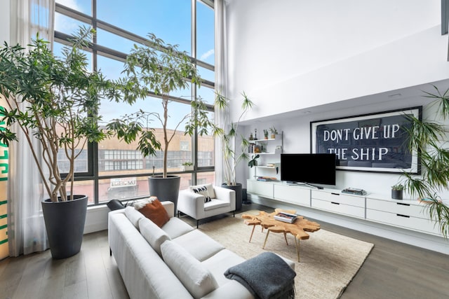 living room featuring hardwood / wood-style floors