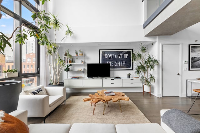 living room featuring a high ceiling and dark hardwood / wood-style floors