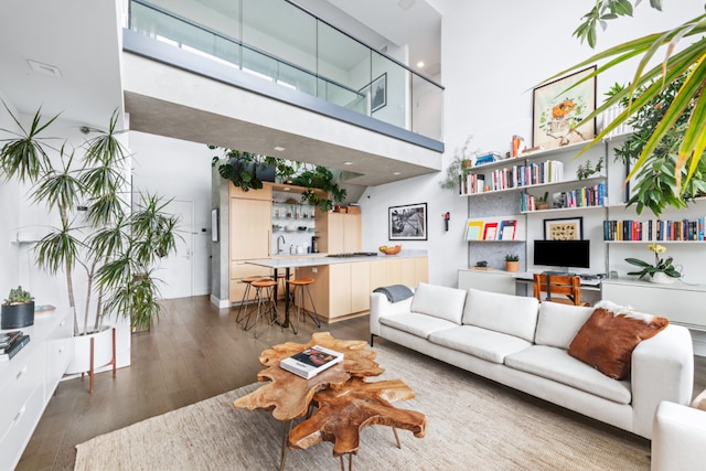 living room with dark hardwood / wood-style floors, sink, and a high ceiling