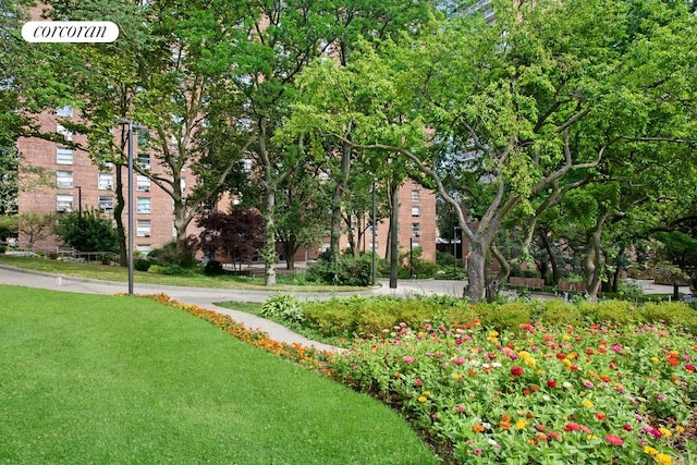 view of home's community with a yard