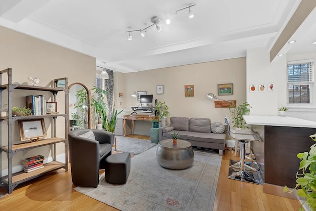 living room with track lighting and light hardwood / wood-style flooring