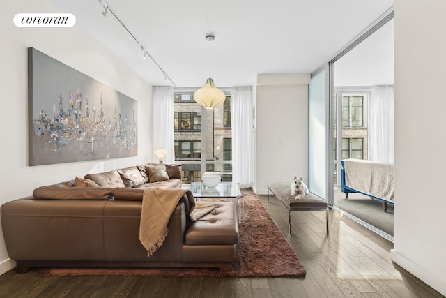 living room with hardwood / wood-style flooring, a wall of windows, and track lighting