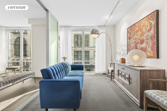 living area featuring dark carpet and track lighting