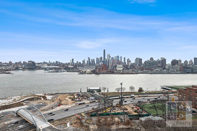 577 Grand St Unit F1904, New York City, NY 10002 - water view with skyline