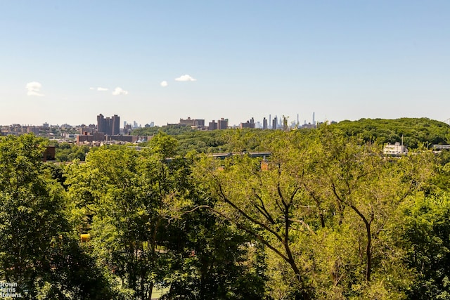 view of nature featuring a view of city