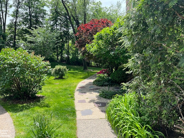 view of property's community featuring a yard