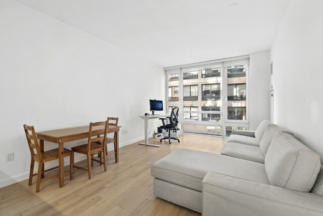 living room with light wood-type flooring