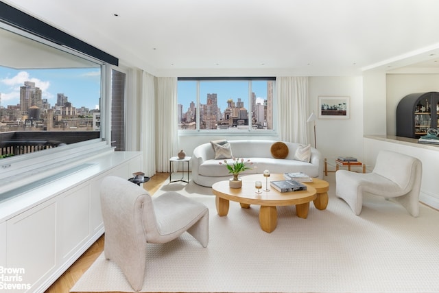 sitting room with a healthy amount of sunlight, a city view, and light wood finished floors