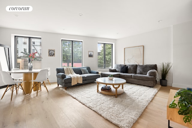 living room featuring light wood-type flooring