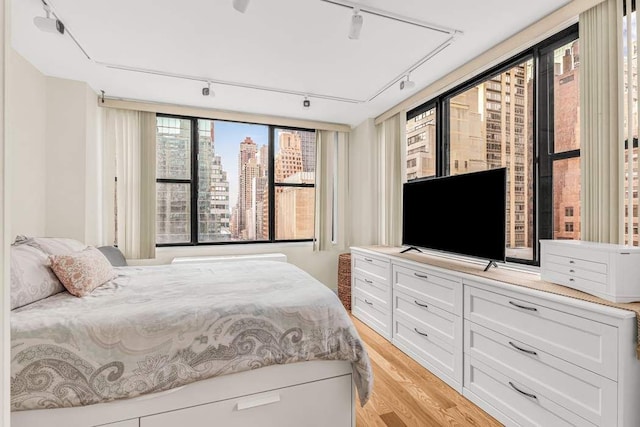 bedroom featuring ceiling fan and light hardwood / wood-style floors