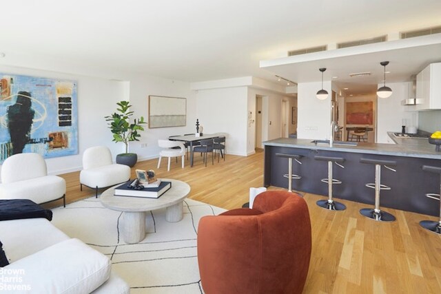 living room with sink and light wood-type flooring