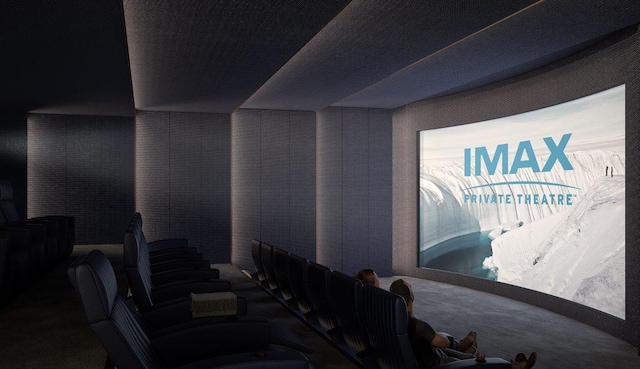 cinema room with carpet flooring
