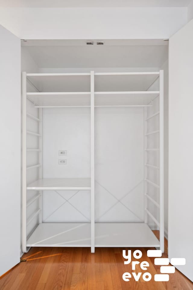 view of closet