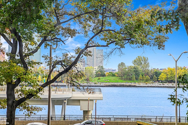 property view of water featuring a dock