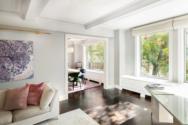 living area featuring dark wood finished floors, beamed ceiling, a healthy amount of sunlight, and baseboards