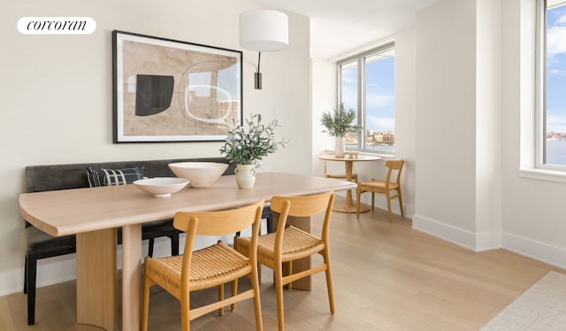 dining space featuring light hardwood / wood-style flooring