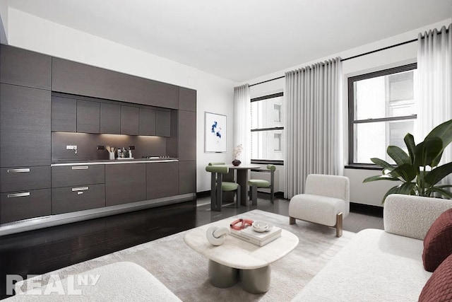 living room featuring baseboards, a wealth of natural light, and wood finished floors