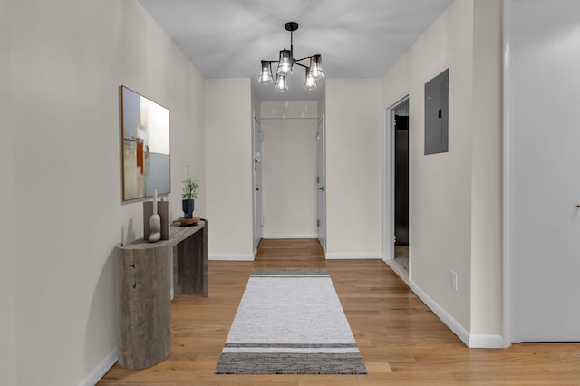 foyer featuring electric panel, a notable chandelier, light wood-style flooring, and baseboards