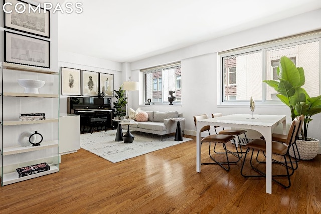 living room featuring hardwood / wood-style floors