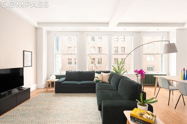 living room featuring a wealth of natural light and wood-type flooring